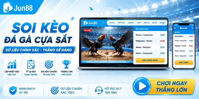 Người chơi dễ dàng soi kèo và theo dõi trận đấu với chất lượng Full HD